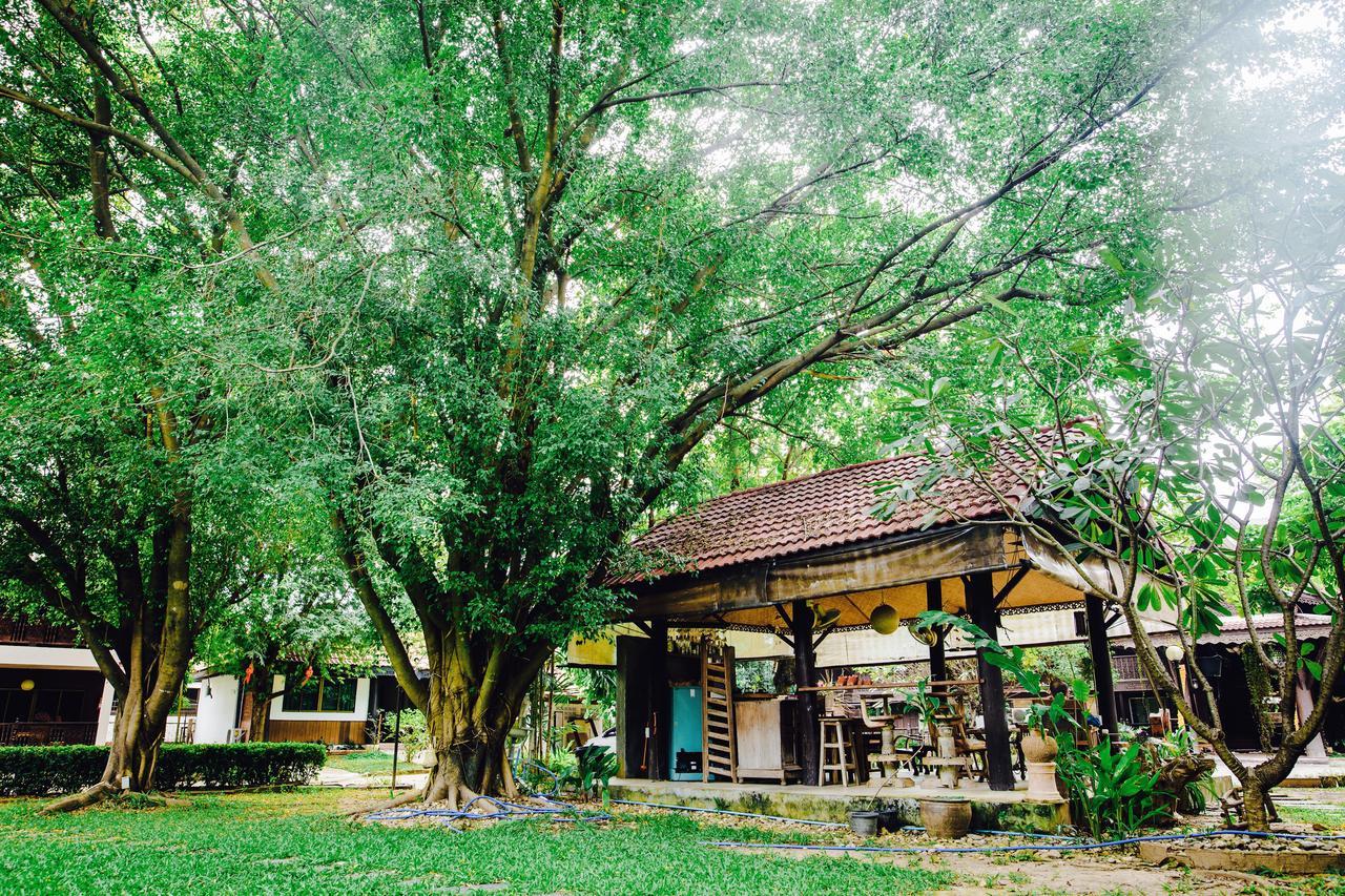 Baan Thai Resort Chiang Mai Dış mekan fotoğraf